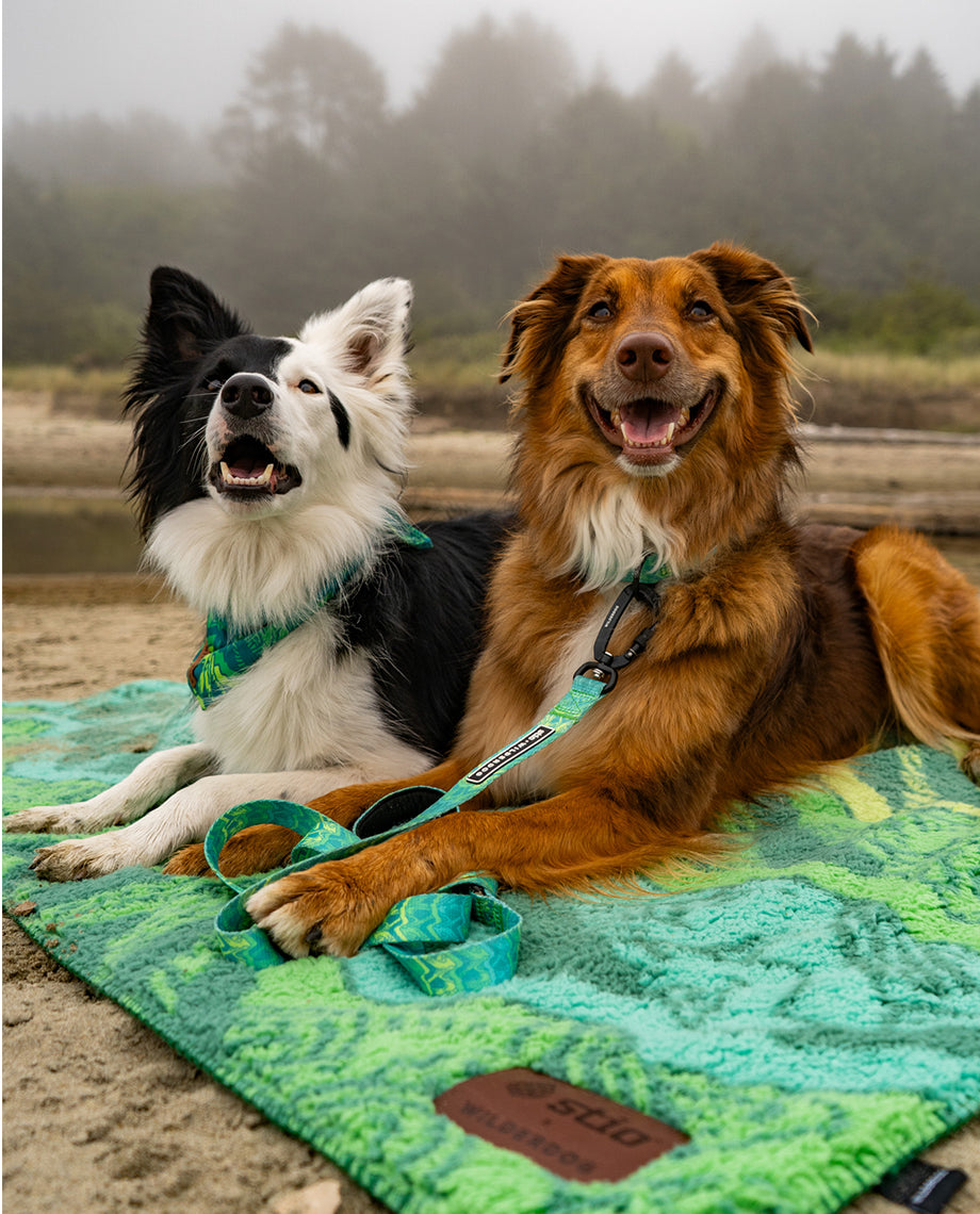Stio x Wilderdog Sherpa Blanket - SM - Image 6