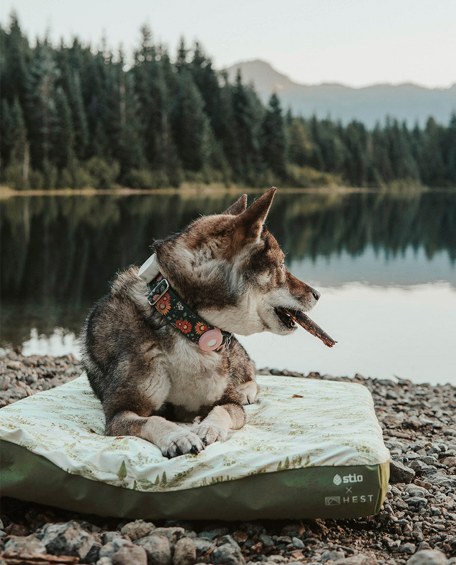 Stio x HEST Dog Bed - MD - Image 5